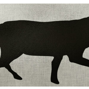 ALLEN EZ AIM THERMAL ID COYOTE 24X12 TARGET