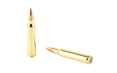 BB320024jpg GunHippo