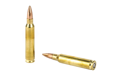 BB556M14jpg GunHippo