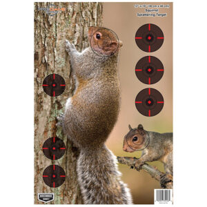 BC PREGAME SQUIRREL TGT 12X18 8PK