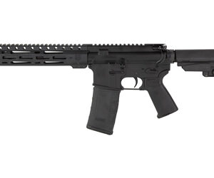 DBF DB15 300BLK 10" 30RD BLK BRACE