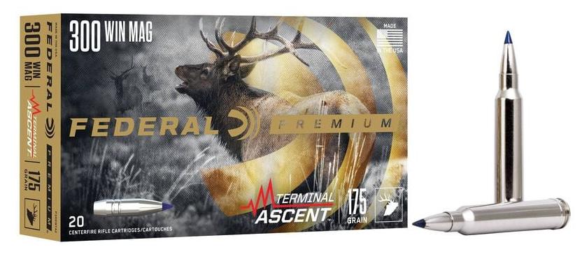 FED20P300WTA2jpg GunHippo