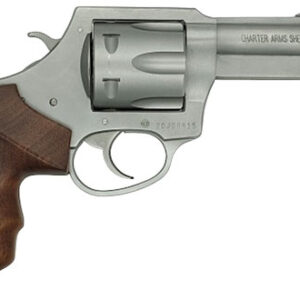 CHARTER ARMS PROFESSIONAL V - 357 MAG 3" S/S WALNUT