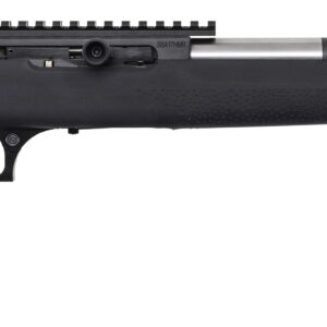 MR STRAIGHT PULL BOLT 17HMR 19 BLK HOGUE