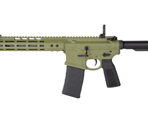 NOVESKE GEN4 N4 556 10.5" 30RD GRN