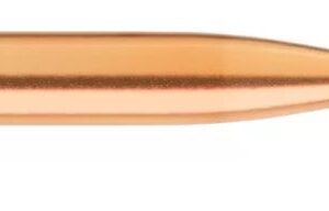 SIERRA BULLETS .22CAL .224 - 69GR TIPPED GAME KING 100CT