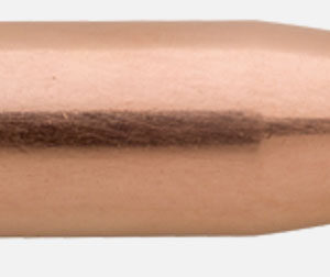 SIE 30CAL 180GR TGK 50/BOX