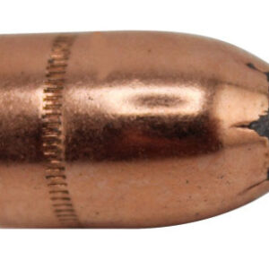 SIE 45CAL 260GR FN PRO-HUNTER 100/BOX