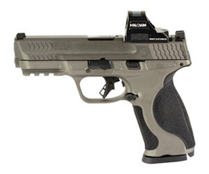 S&W M&P M2.0 9MM 4.25" 17RD HOLO GRY