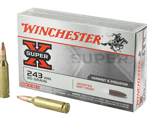 WIN SPRX 243WIN 80GR JSP 20/200