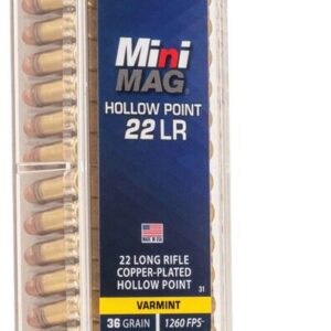 CCI 22 LR MINI MAG  36GR HP 100 RD/BX 50 BX/CS