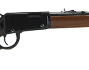 Mare's Leg 22LR 12.9" B AS 10rd