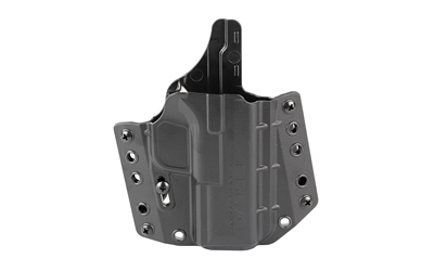 BRVBC1010371jpg GunHippo