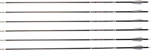 CX054291jpg GunHippo