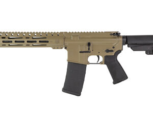 DBF DB15 556 10" MLOK 30RD FDE BRACE