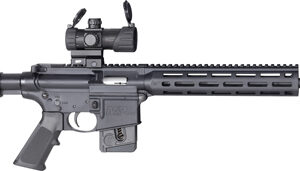 S&W M&P15-22 SPORT OR 22LR - 16.5" MP100 RED/GRN DOT 10-SHT