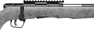 SAVAGE B22 22LR TIMBERLITE - THUMBHOLE 18" CF 10RD GRY WOOD