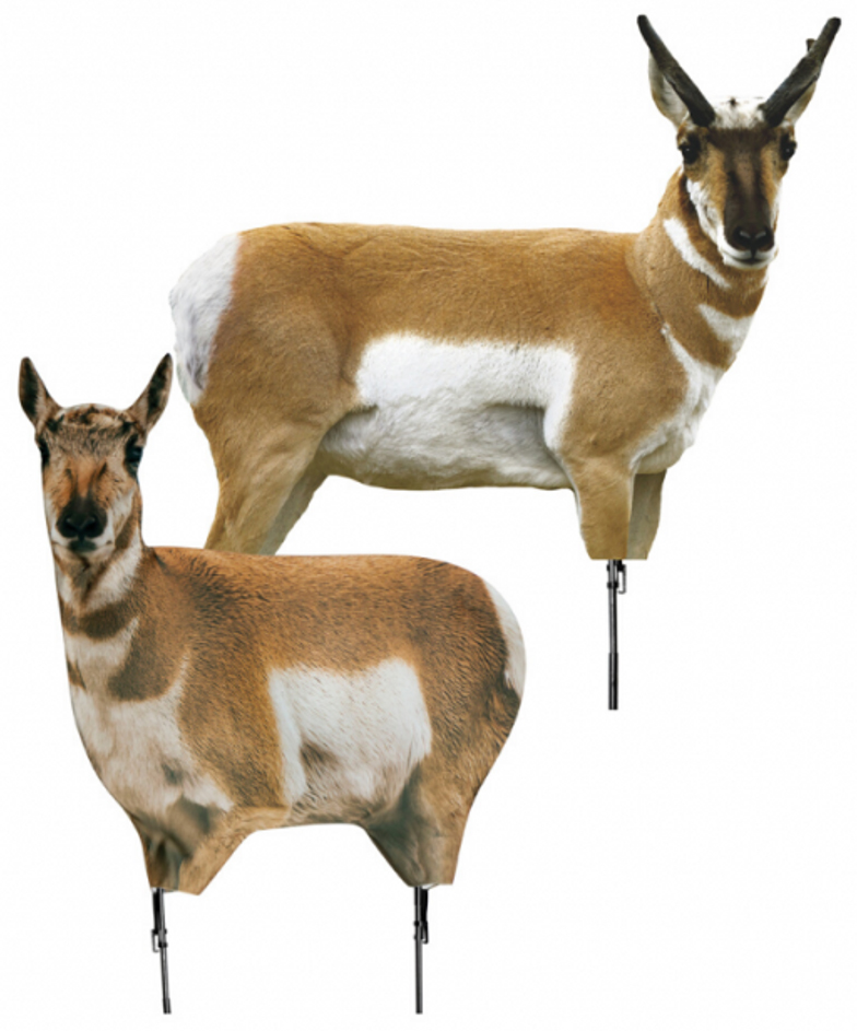 MDC200083jpg GunHippo