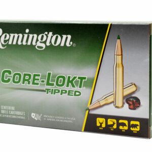 REM CORE-LOKT 300REM 180GR TIPPED 20/10