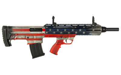 SDS210001642 GunHippo