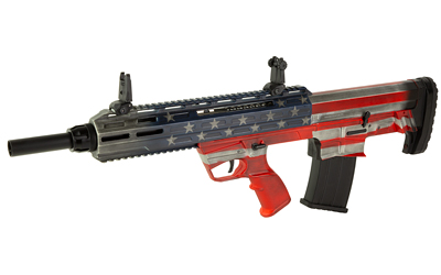 SDS210001643 GunHippo