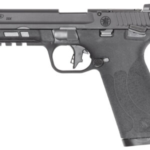 SW M&P 22X 22LR 4.1 BLK TS 10RD