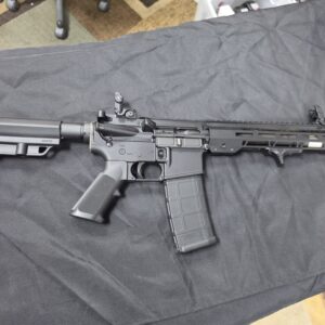 Palmetto State Armory PA15