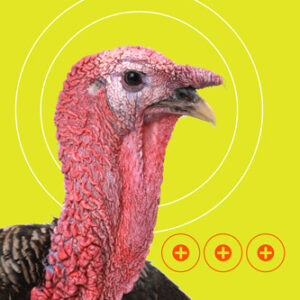 ALLEN EZ AIM SPLASH TURKEY TGT - 8-PK 12"X18"