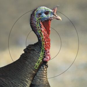 Close-up of a turkey's head and neck with concentric target rings overlaid, labeled Splattering Targets.