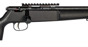Long black rifle with a long barrel and top mounting rail on a white background