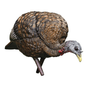 Brown turkey perched on one leg with a curved neck, gray head, red wattle, and yellow beak against a white background