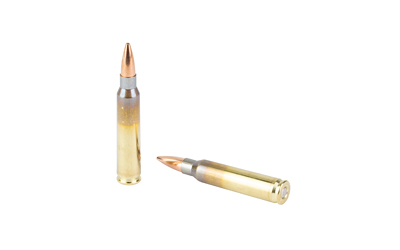 BB65230304 GunHippo Two bullet-shaped glass ampoules filled with pale yellow liquid and metal caps.