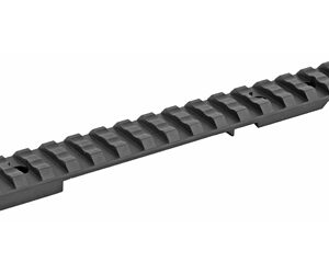 Picatinny rail segment with multiple evenly spaced slots.