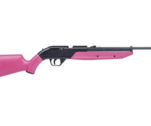 CROSMAN 760 PUMPMASTER .177/BB PNK