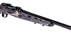 SAVAGE A17 17WSM HVY BBL 22" - ACCU TGR BLU/GRY LAM T-HOLE