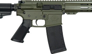 AR‑15 style semi-automatic rifle with olive green receiver, collapsible stock, and detachable magazine