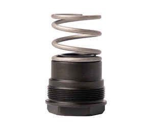 Disassembled valve cartridge with a coiled compression spring above a threaded seal, set against a white background.