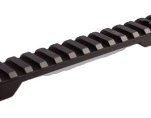 Long black Picatinny rail segment with evenly spaced ridges for attaching firearm accessories