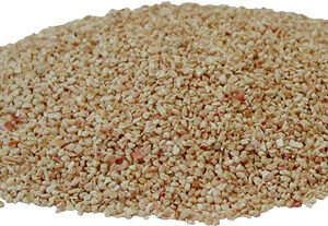 Pile of sesame seeds on a white background, beige and tiny in size (informative, concise)
