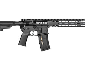 RADIAN MODEL 1 10.5" 223WLD BLK PSTL