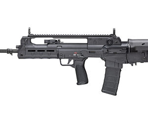 SPRGFLD HELLION 556 20" 30RD BLK