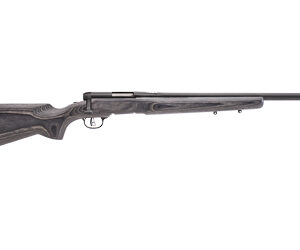 Bolt-action hunting rifle with a dark wooden stock and long barrel