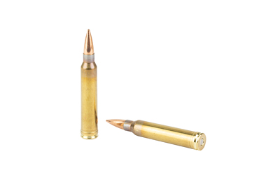 BB65700204 GunHippo