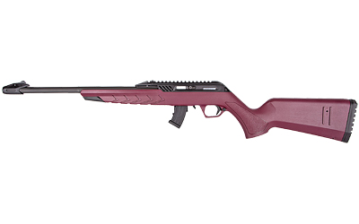 DYRTM22STANBC181 GunHippo