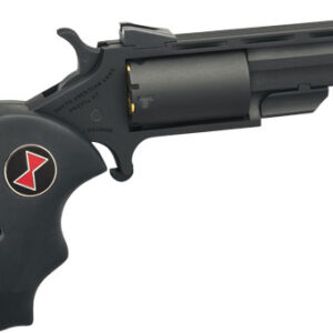 NAA"TRUE BLACK WIDOW" MINI-REV - 22WMR 2" FS CERAKOTE BLACK