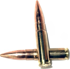 a51245shells1 GunHippo
