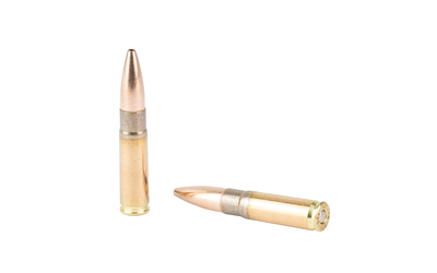BB325194jpg GunHippo