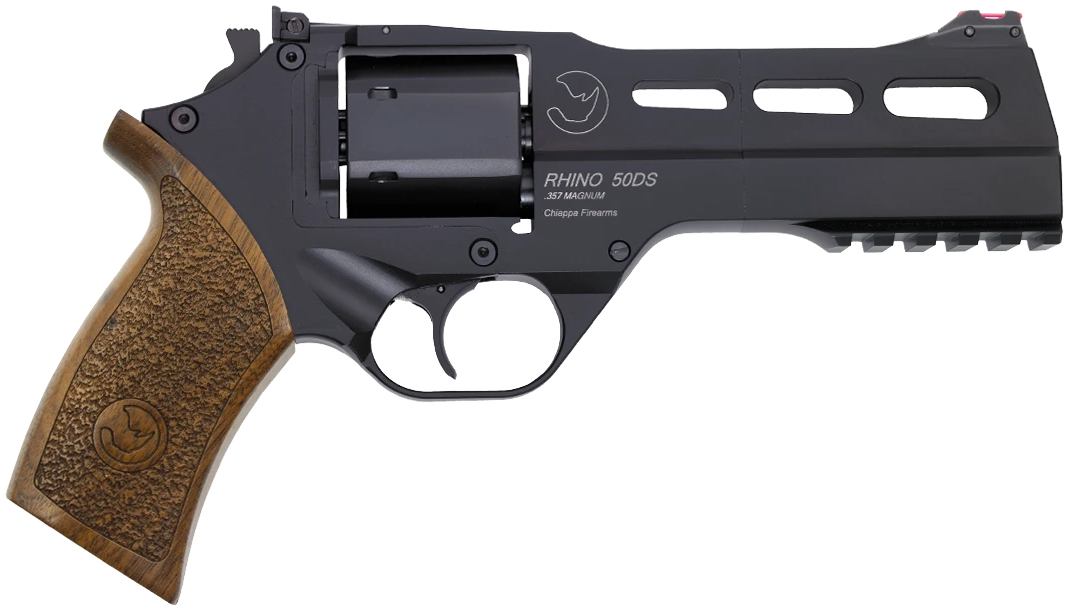 CF20340220jpg GunHippo