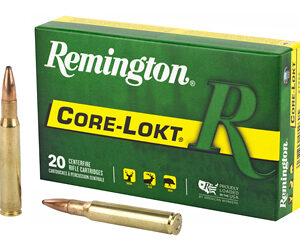 REM 30-06 150GR PSP CL 20/200