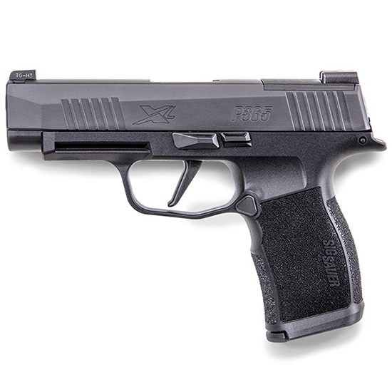 SIG20365XL9BXR3P10jpg GunHippo